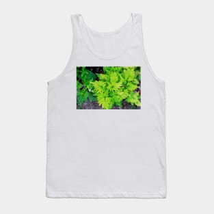 Red and Yellow Coleus Plant Leaves Tank Top